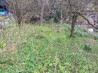Недвижимость Участок для застройки на Руднике, Любляна: 2