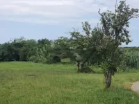 Недвижимость Дом Двухэтажный в Люция: 6