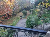 Недвижимость Дом в Копере: 6