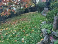 Недвижимость Дом в Копере: 8