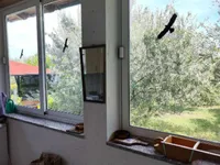 Недвижимость Дом Двухэтажный Ягодье: 18
