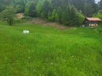 Недвижимость Земельный участок в Мосте, Воловлье: 11