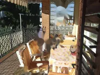 Недвижимость Двухэтажный дом Шалара: 6