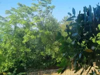 Недвижимость Дом, Порторож: 4