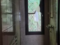 Недвижимость Дом, Порторож: 12