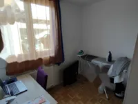 Недвижимость Пятикомнатная и более квартира в Ливица Руднике: 8