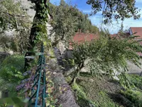 Недвижимость Квартира, 5 и более комнат в центре Любляны: 28