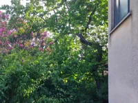 Недвижимость Квартира в Побеги, 4 комнаты: 5