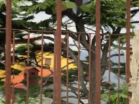 Недвижимость Квартира, 4-комнатная, центр Пирана: 15