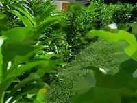 Недвижимость Квартира на Малие 95D: 17