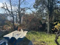 Недвижимость Четырёхкомнатная квартира Пиран: 2