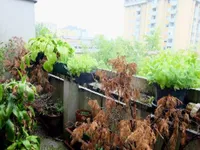 Недвижимость Квартира 4.5 комн. Нова Ежица: 4