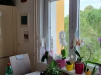 Недвижимость Трёхкомнатная квартира Изола: 3