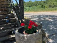 Недвижимость Дом, Бельведер: 11
