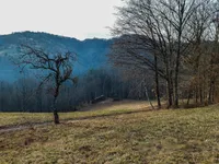 Недвижимость Усадьба, ферма Великий Чирник.: 29