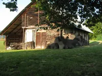 Недвижимость Усадьба, поместье Тополе, Текачево.: 3