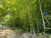 Недвижимость Дом с террасой у леса: 5