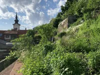 Недвижимость Дом, Любляна Центр: 13