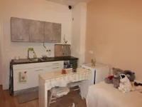 Недвижимость Дом с террасой в центре Любляны: 7