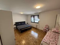 Недвижимость Дом, Любляна, Бежиград, Чрнуче: 15