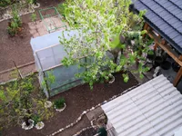 Недвижимость Дом, Любляна, Шишка: 2