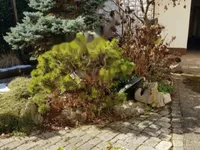 Недвижимость Дом в Вижмарье: 2