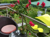 Недвижимость Дом с террасой Дравле: 8
