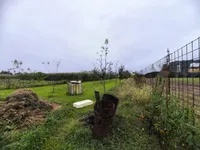 Недвижимость Дом в Чернучах: 2