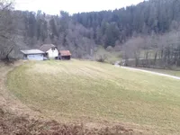 Недвижимость Усадьба, ферма Нижняя Вижинга.: 1