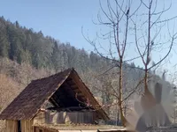 Недвижимость Усадьба, ферма Нижняя Вижинга.: 6