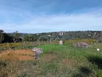 Недвижимость Усадьба с видом на Сечовельский залив: 7