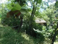 Недвижимость Усадьба, ферма Преболд: 5