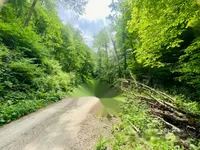 Недвижимость Усадьба, ферма Подсреда, Козье.: 22