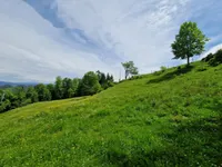 Недвижимость Усадьба и ферма Подкрай у Межицы: 16