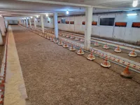 Недвижимость Усадьба и ферма Фаровец близ Словенской Бистрицы: 1
