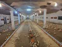 Недвижимость Усадьба и ферма Фаровец близ Словенской Бистрицы: 3