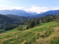 Недвижимость Усадьба и ферма Камник: 12