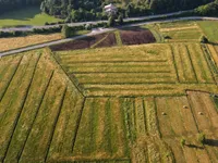 Недвижимость Поместье, ферма Горичица под Кримом: 12