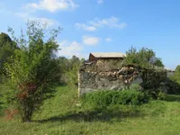 Недвижимость Поместье, ферма Горичица под Кримом: 15