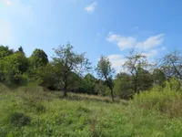 Недвижимость Поместье, ферма Горичица под Кримом: 20