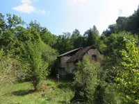 Недвижимость Поместье, ферма Горичица под Кримом: 21