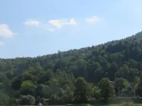 Недвижимость Поместье, ферма Горичица под Кримом: 27