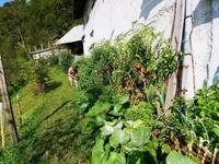 Недвижимость Усадьба, ферма Чолнишче.: 23