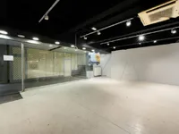 Недвижимость Комбинированное помещение в центре Любляны: 8