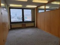 Недвижимость Коммерческое помещение Новые Ярше: 6