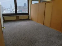 Недвижимость Коммерческое помещение Новые Ярше: 8