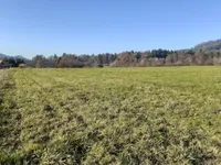 Недвижимость Участок Земли для Инвестиций в Верхние Гамельне: 5