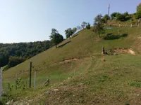 Недвижимость Усадьба Кметиянова Стражна.: 3