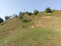 Недвижимость Усадьба Кметиянова Стражна.: 11