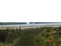 Недвижимость Дом, Порторож, Сеча: 1